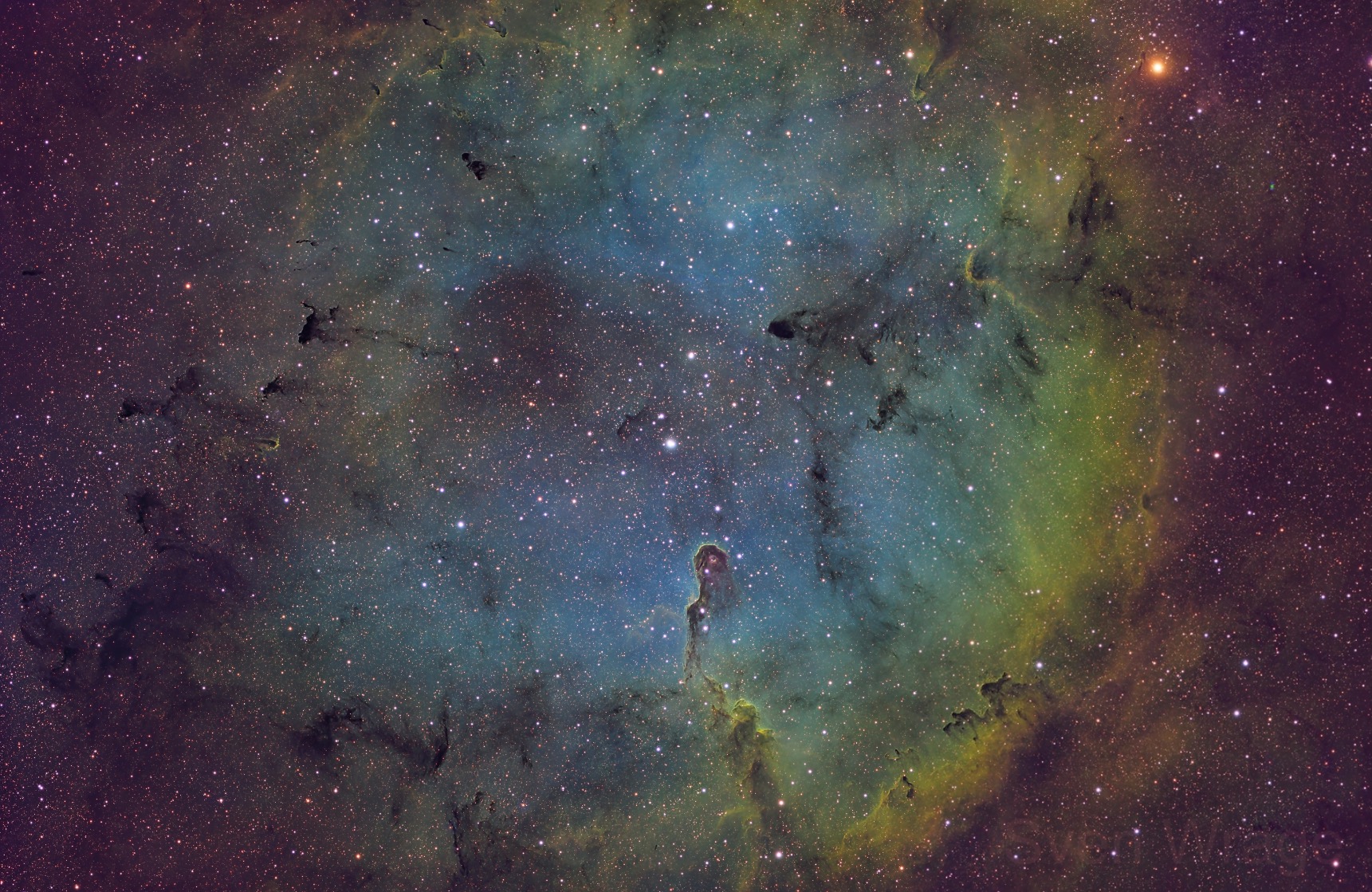 Der Emissionsnebel IC 1396 mit dem Elefantenrüssel, aufgenommen von Sven Wrage